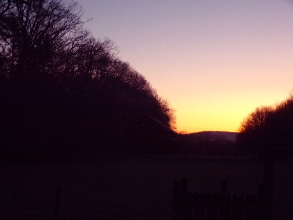 Orange sunrise crop Nov. 2022.jpg