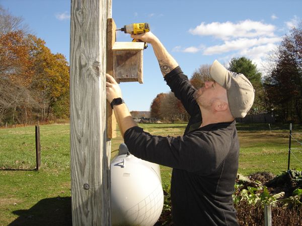 Tom putting bluebird house back up crop Nov 2025.jpg