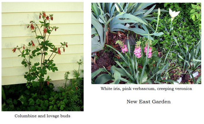 New East - flower collage text crop May 2025.jpg