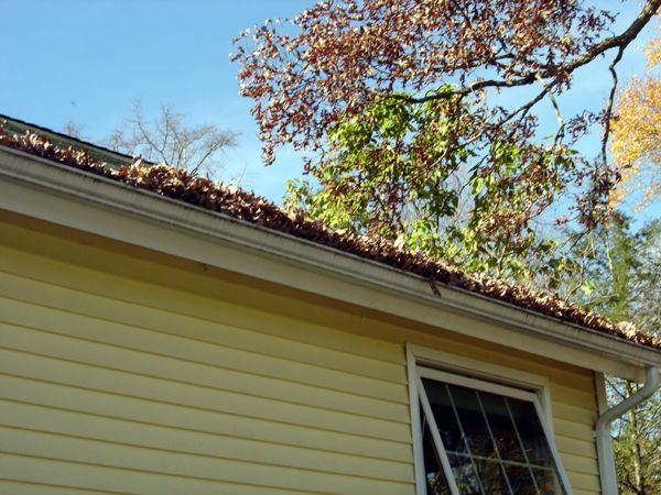 East gutter full of leaves crop Oct 2025.jpg