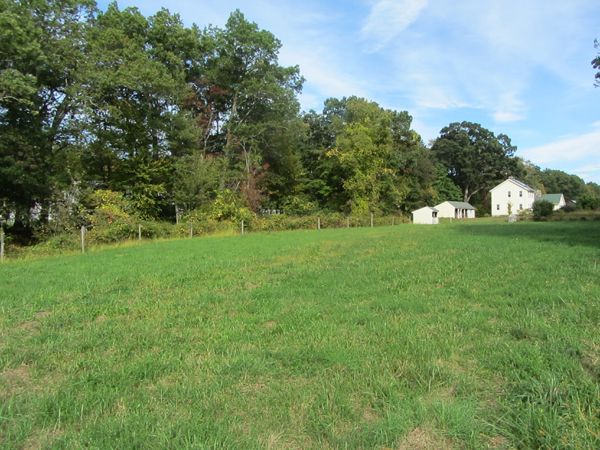 Front pasture crop Sept 2025.jpg