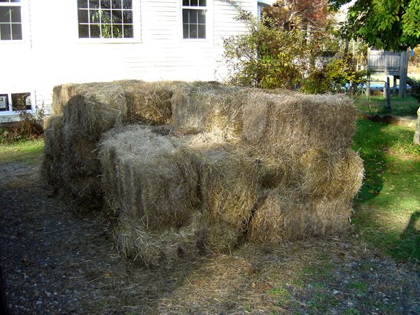 Mulch pile - 40 bales crop Oct 2025.jpg