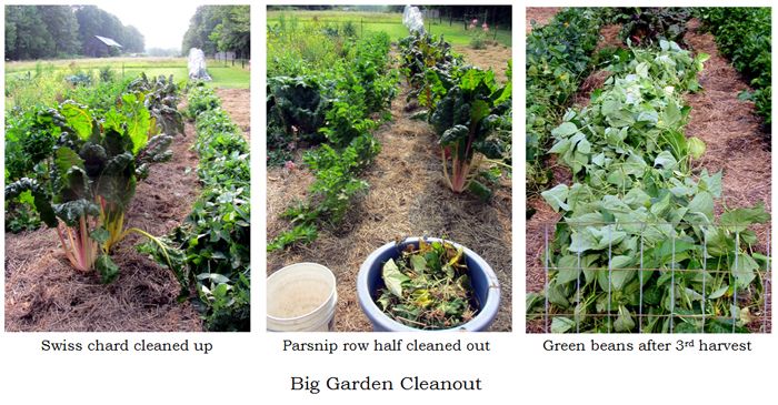 Big garden - cleanout collage1 text crop August 2025.jpg