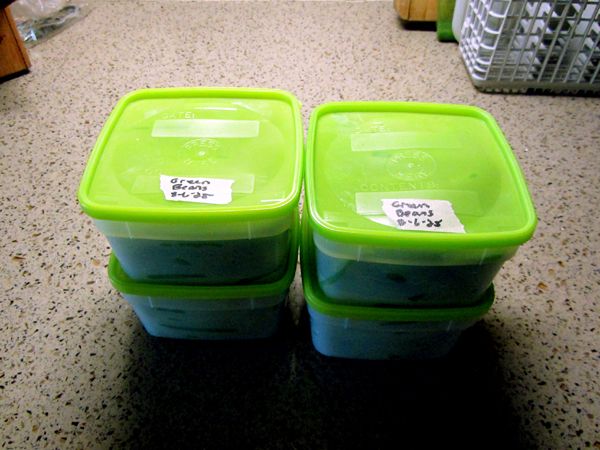 Green beans - 4 pints crop August 2025.jpg
