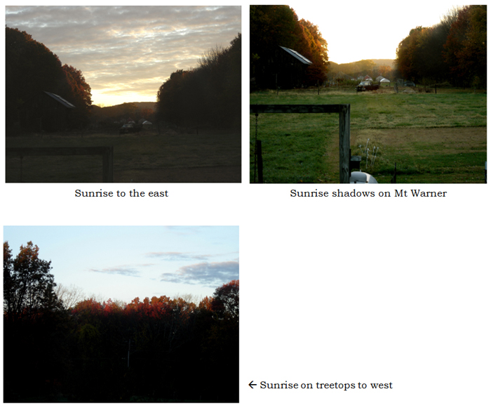 Sunrise collage text crop Oct 2025.jpg