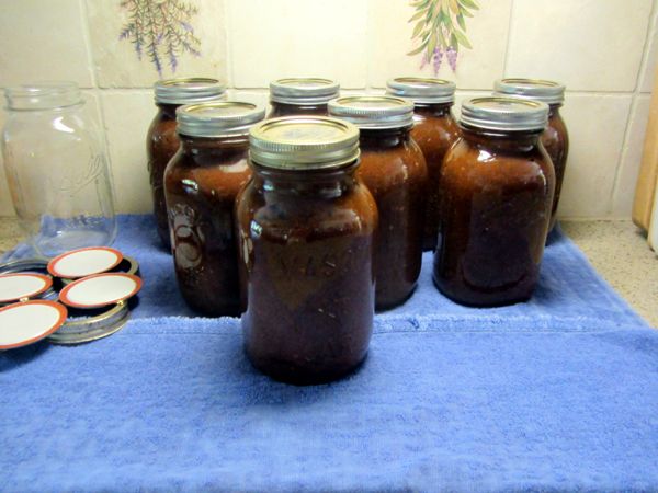 Spaghetti sauce - 8 quarts crop Sept 2025.jpg