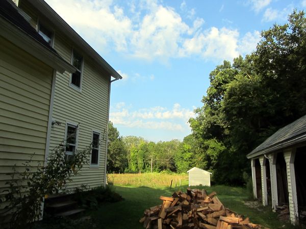 Nice late summer morning crop August 2025.jpg
