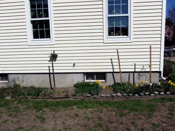 West Herb - cleaned out1 crop April 2025.jpg