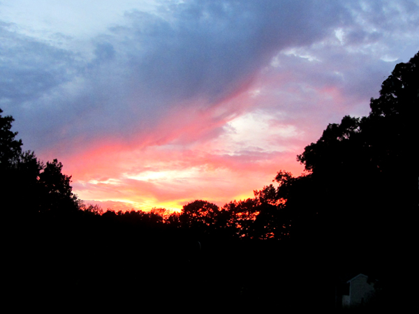 Sunset crop Sept 2025.jpg