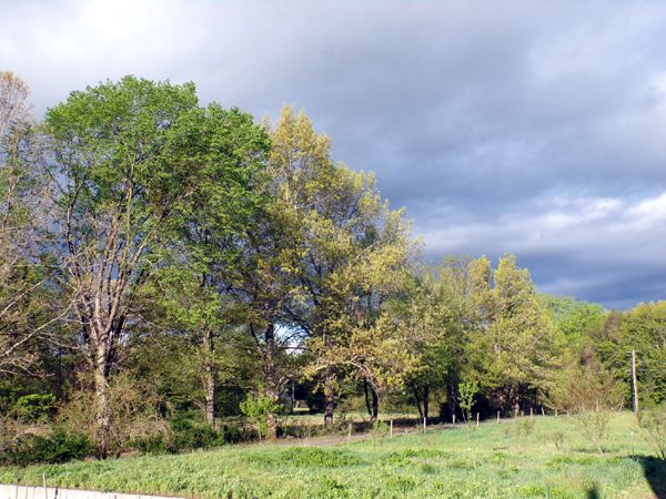 Storm clouds west crop May 2024.jpg
