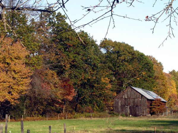 Barn and color middle pasture crop Oct 2025.jpg