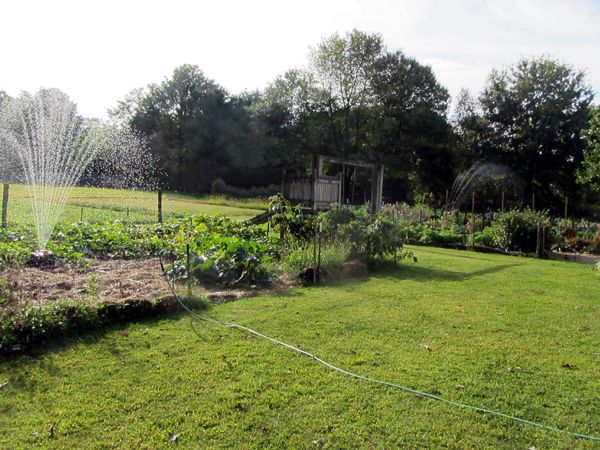 Sprinklers going crop Sept 2025.jpg