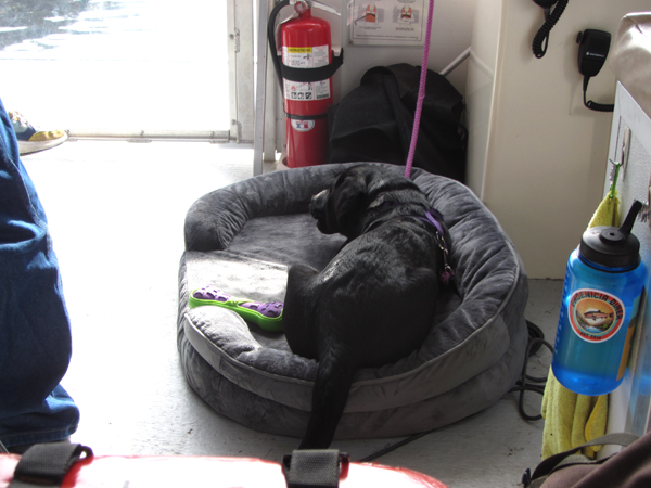 Riverboat - first mate and mascot crop Sept 2025.jpg