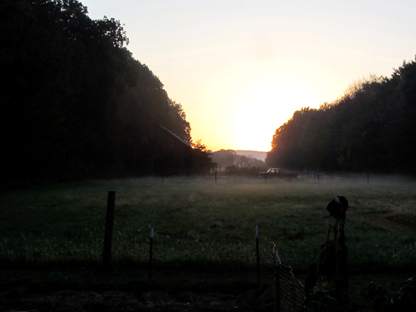 Sunrise2 crop Oct 2025.jpg