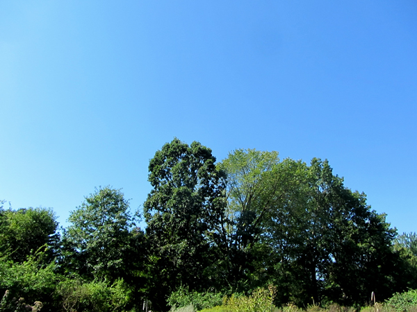 Deep blue sky crop August 2025jpg.jpg