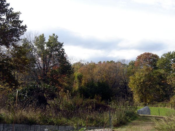 Warm cloudy morning1 crop Oct 2025.jpg