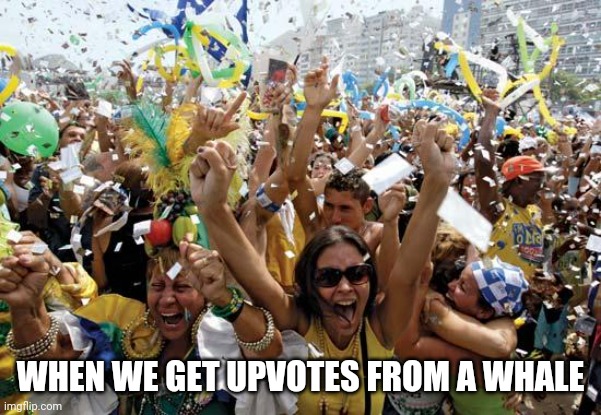 6lo19d.jpg