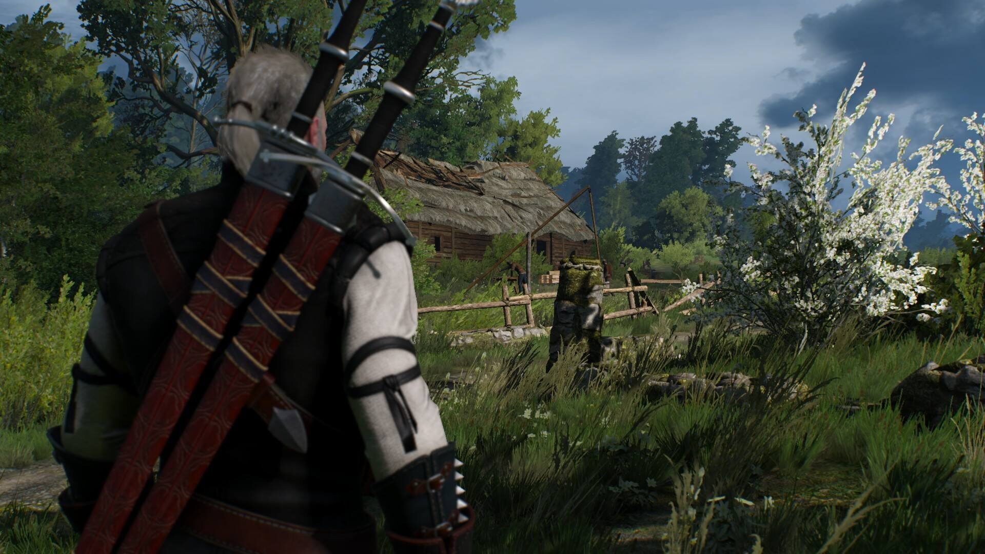 thewitcher3wildhunt41920x1080.jpg
