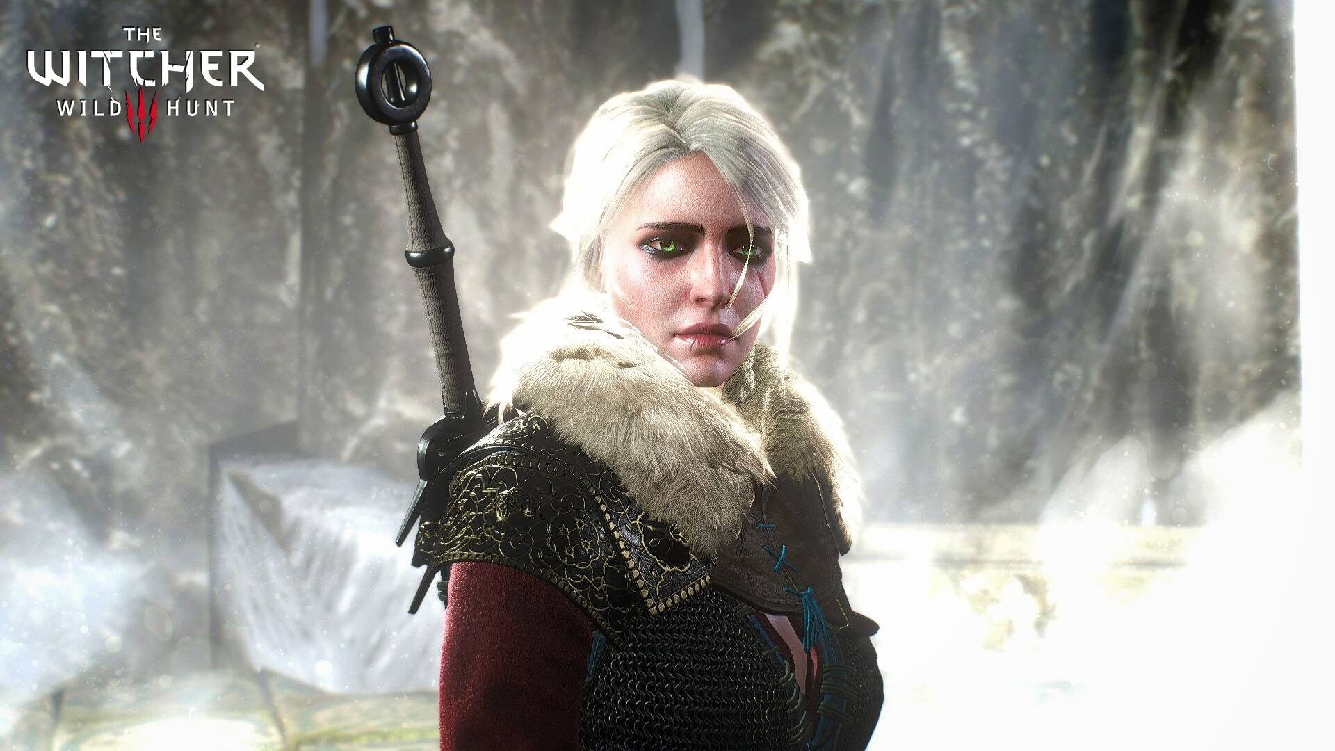 thewitcher3wildhunt61920x1080.jpg