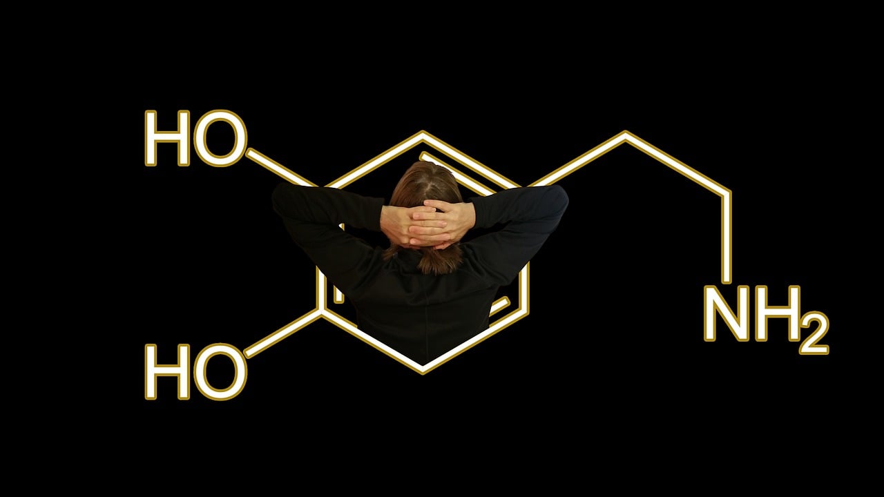 dopamine-4646236_1280.jpg
