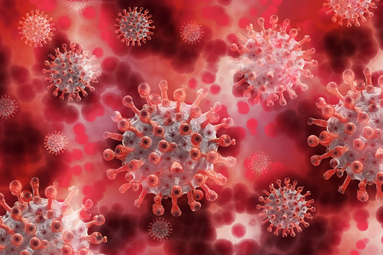 coronavirus-5174671_1280.webp.jpg