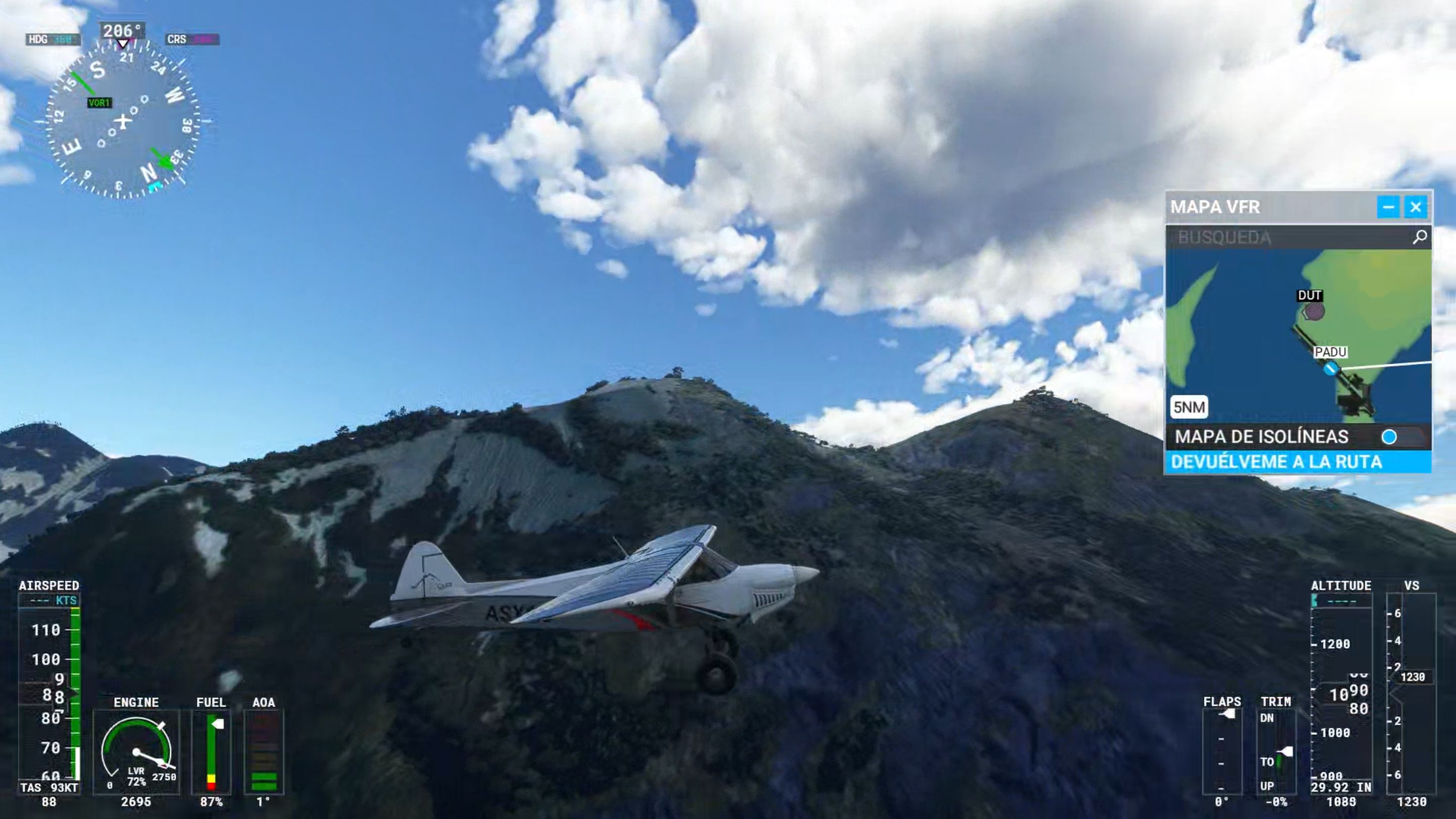 Microsoft Flight Simulator (3).png