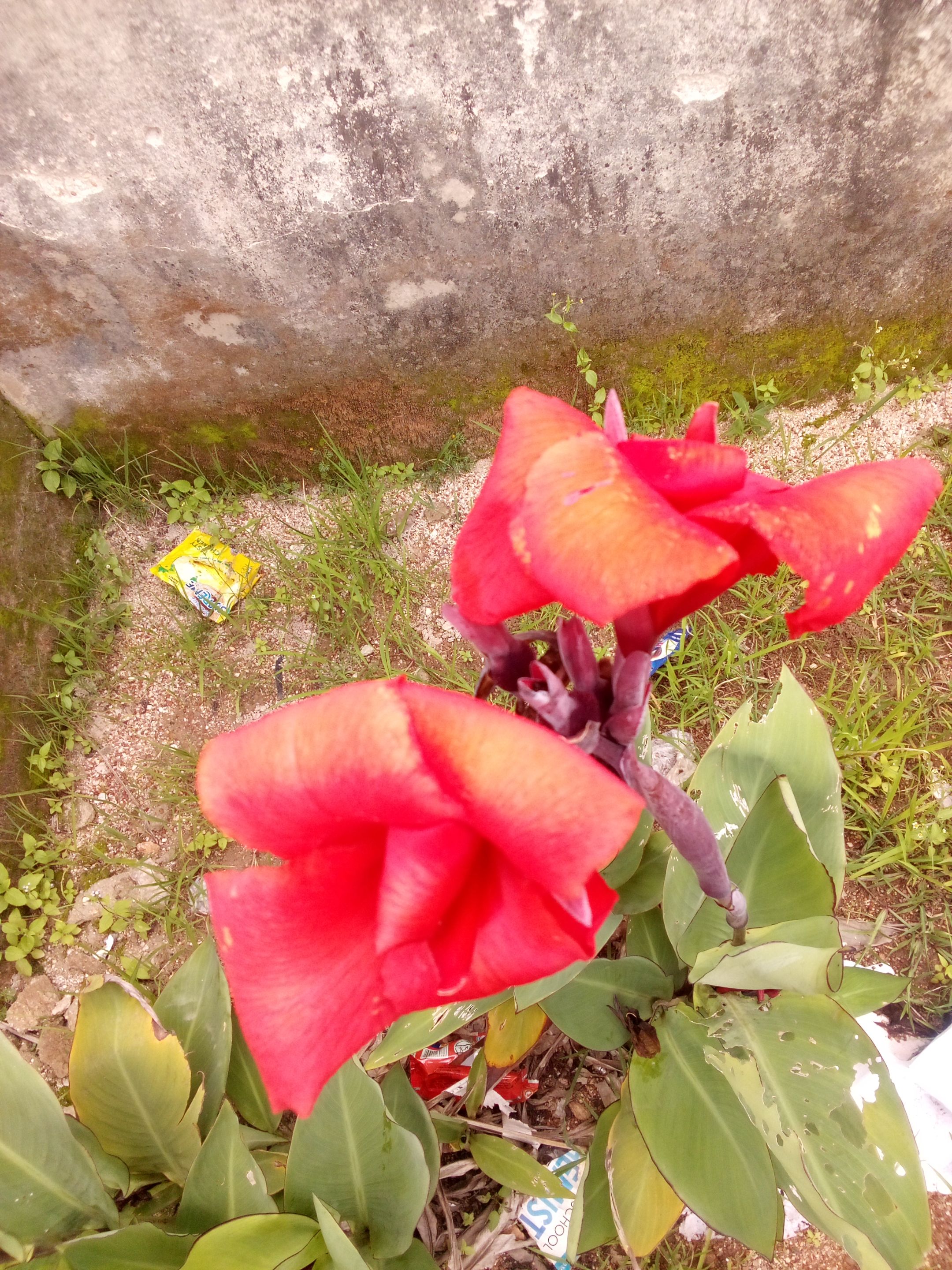 IMG_20250719_141948_399.jpg