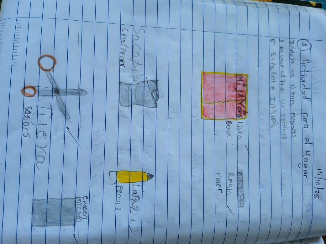 WhatsApp Image 2025-10-17 at 7.42.48 PM (1).jpeg