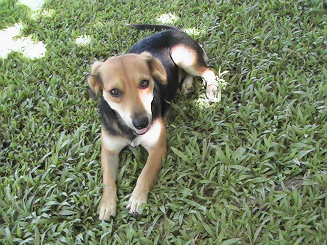 PIC_0196.JPG