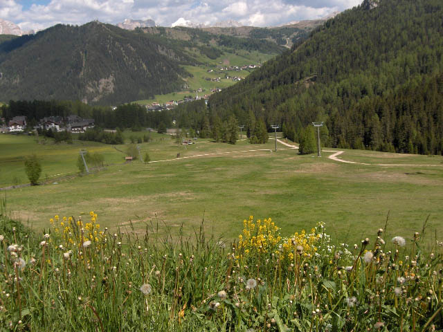 HPIM4605.jpg