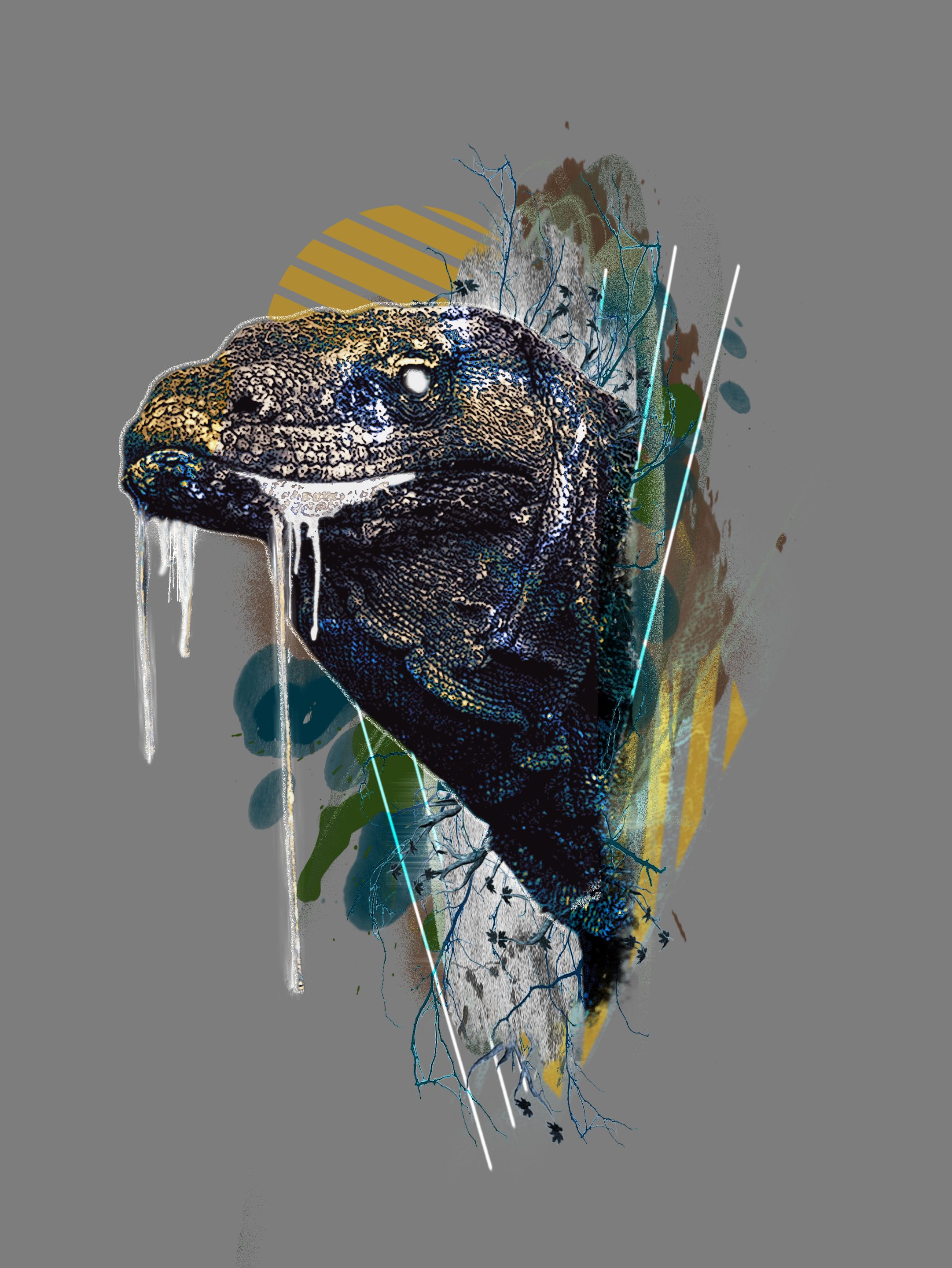 DRAGRAO KOMODO.jpg