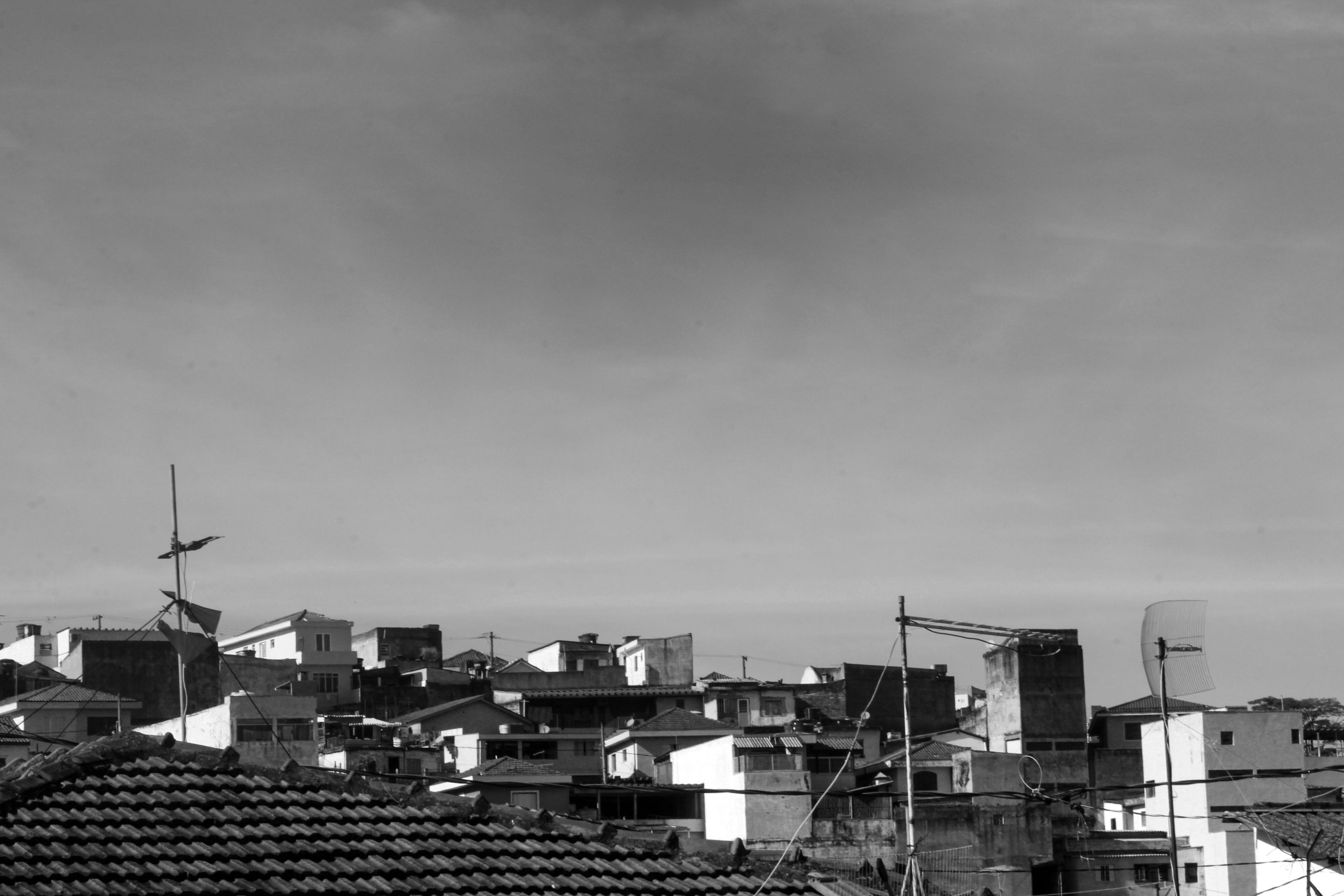 _MG_3904.JPG