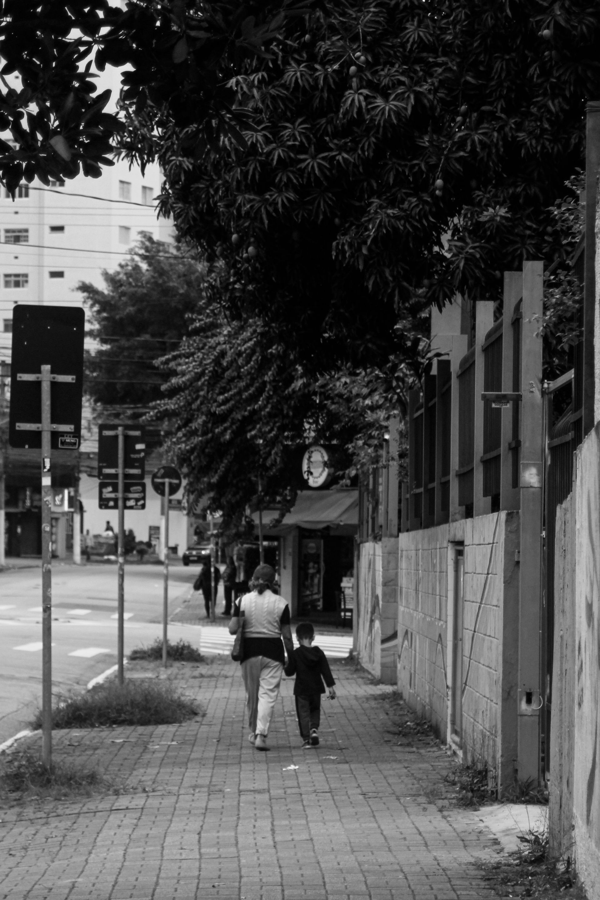 _MG_3071.JPG