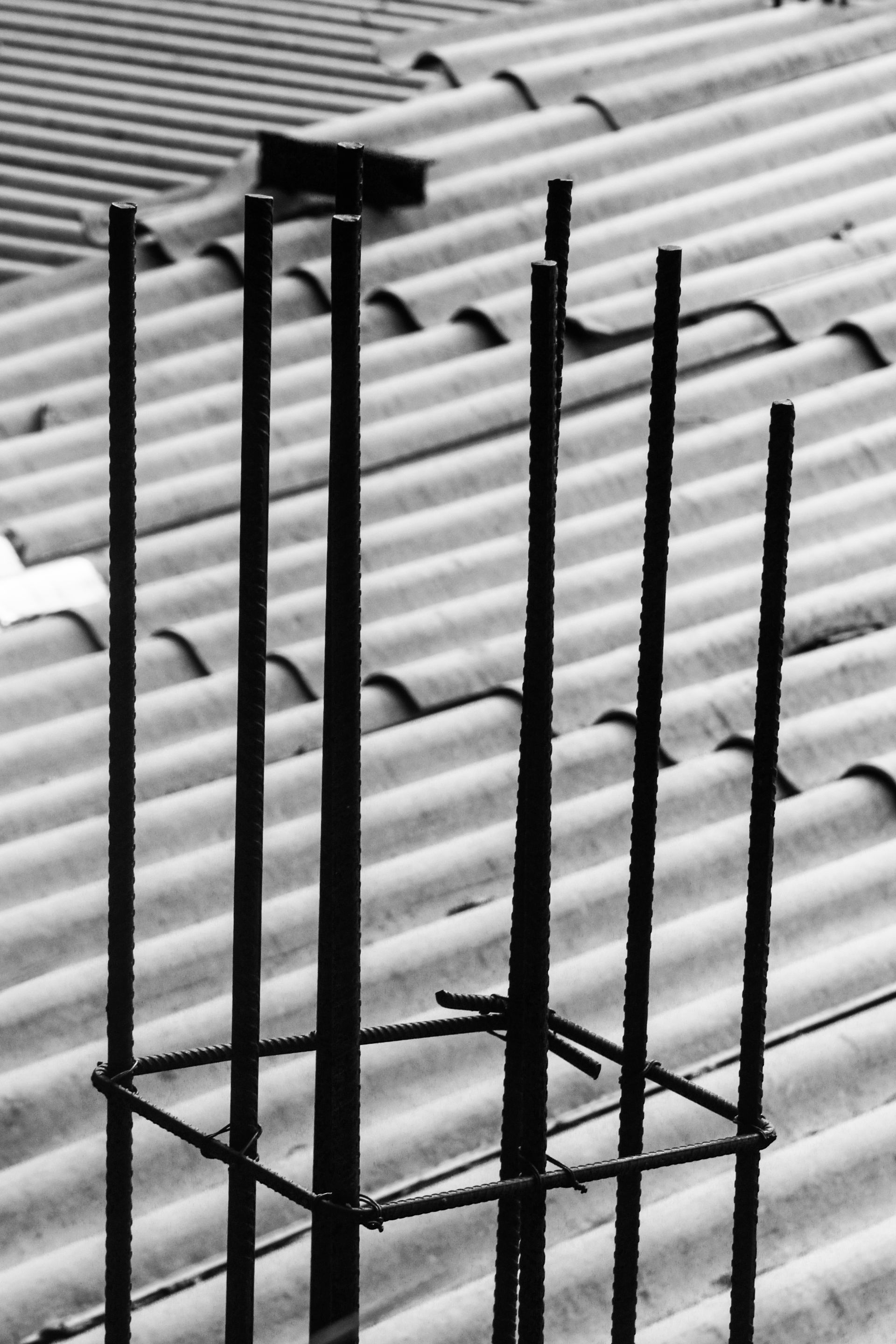 _MG_3685.JPG