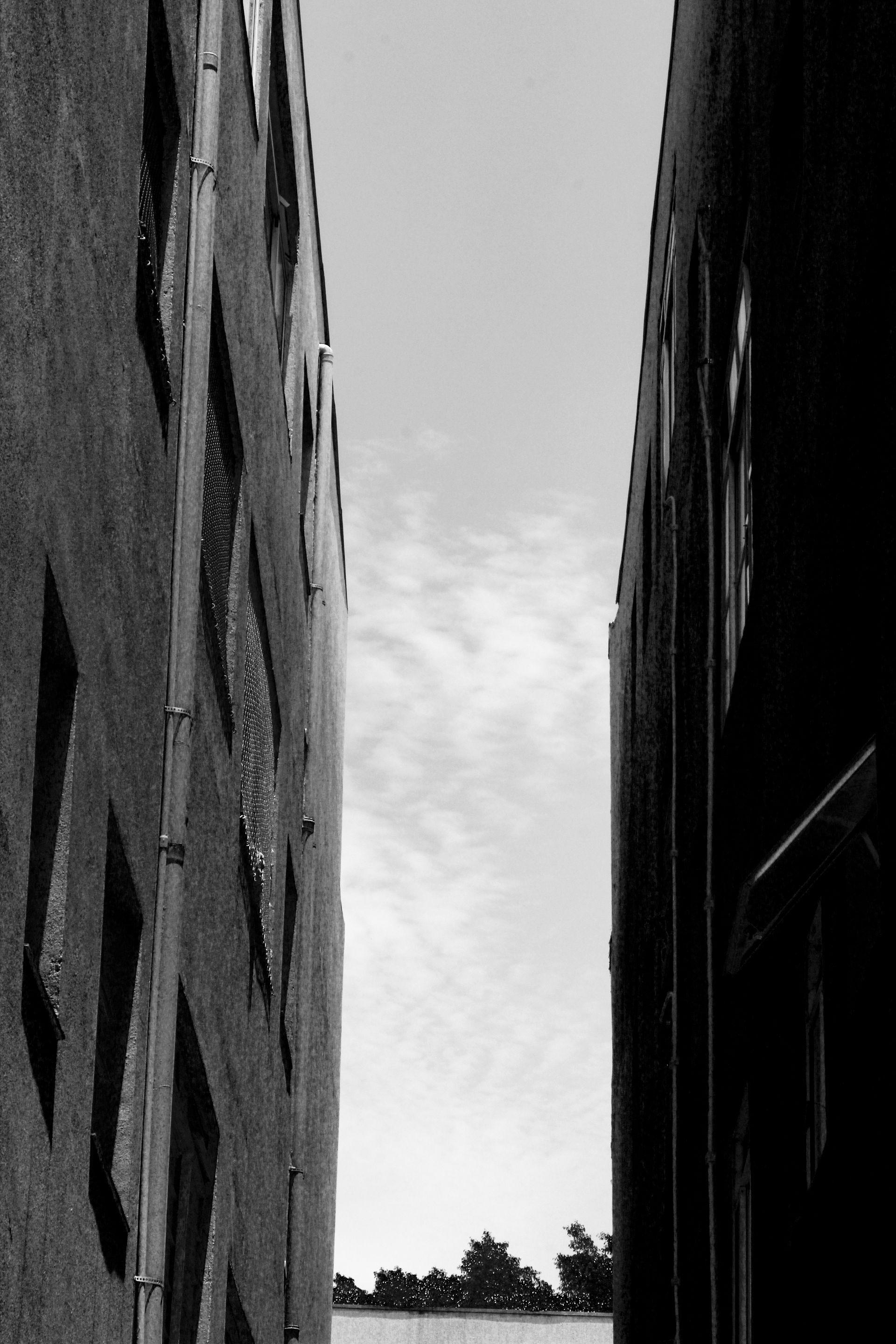 _MG_3186.JPG