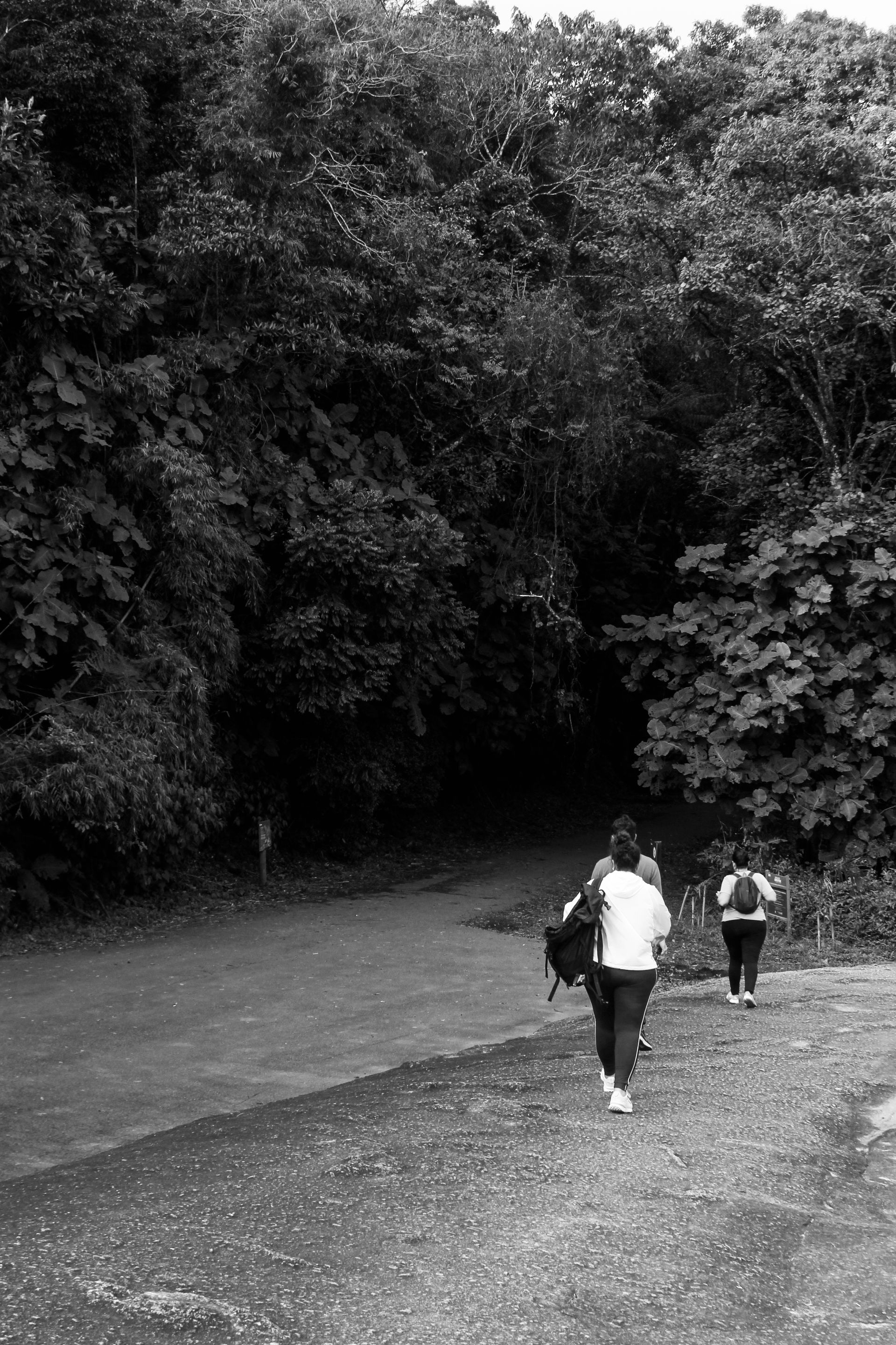 _MG_4021.JPG