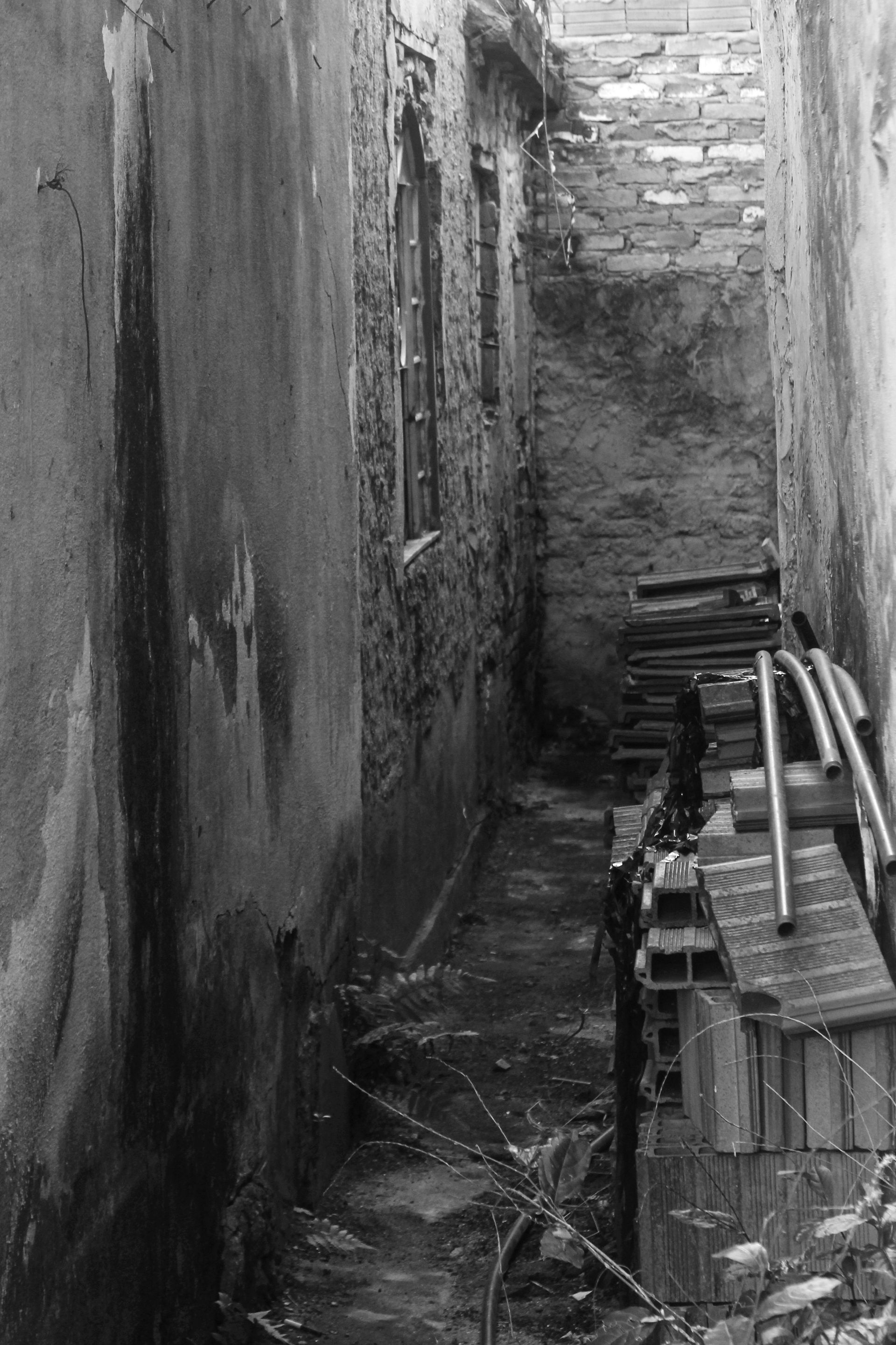 _MG_3900.JPG