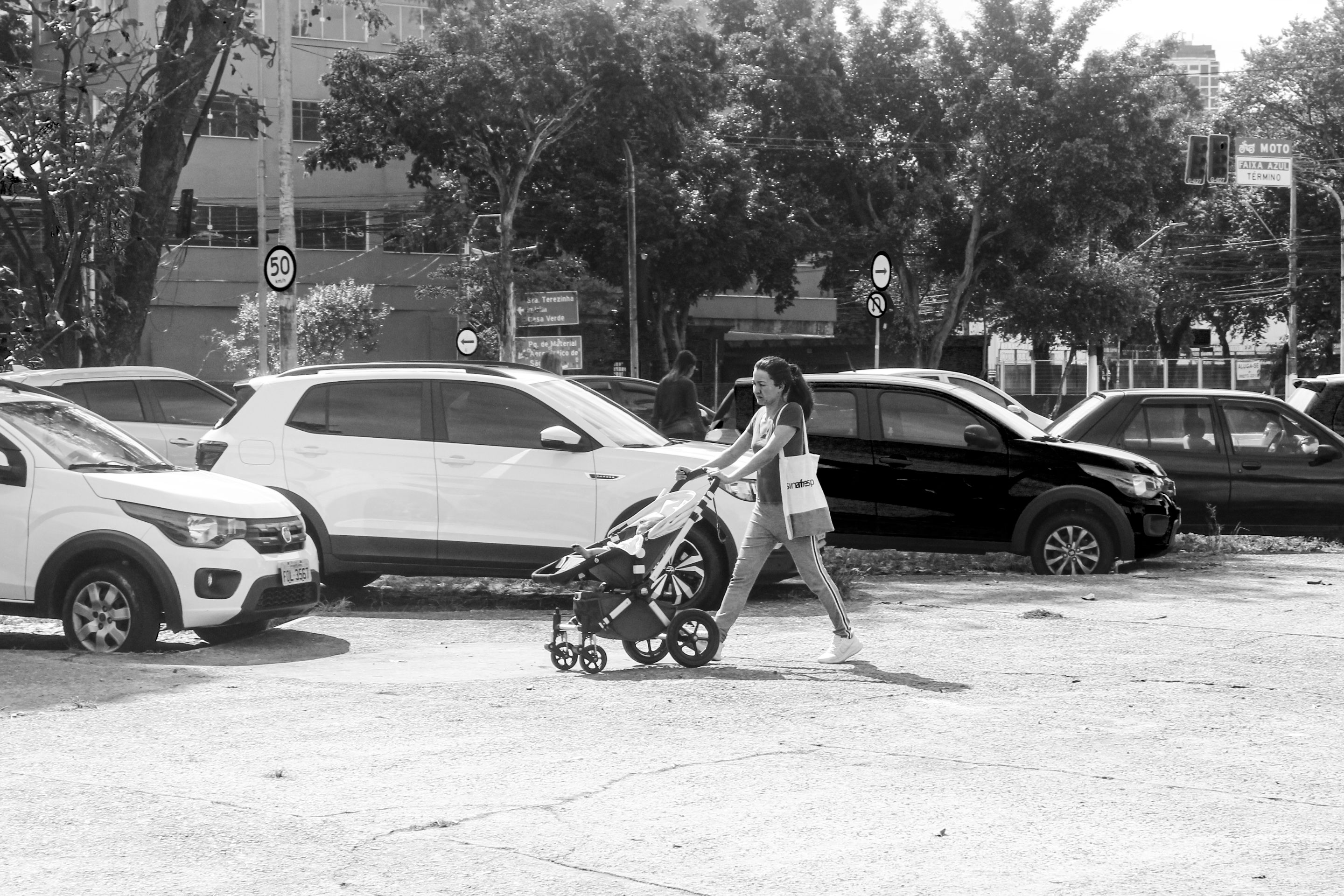 _MG_3699pb.jpg