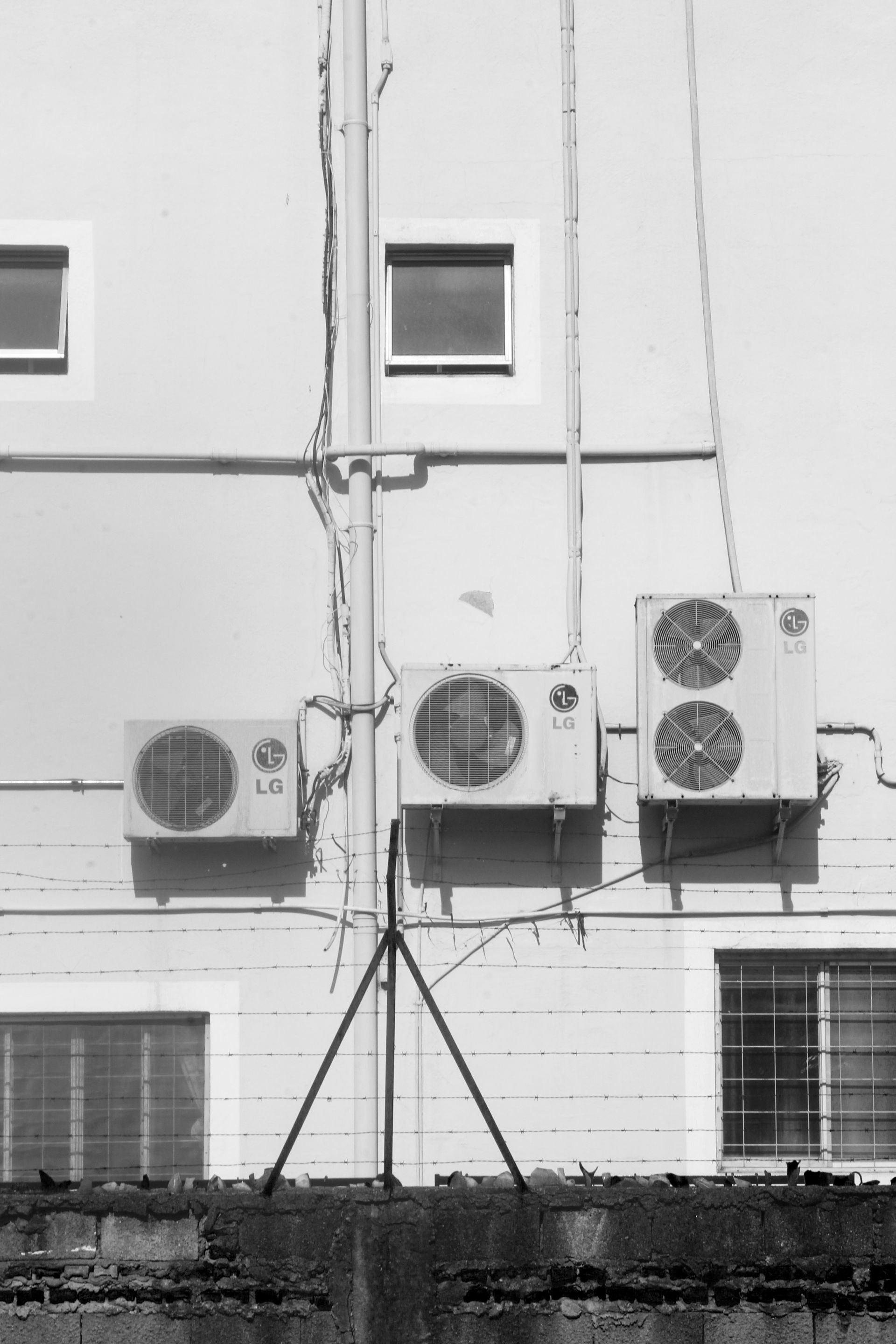 _MG_3903.JPG