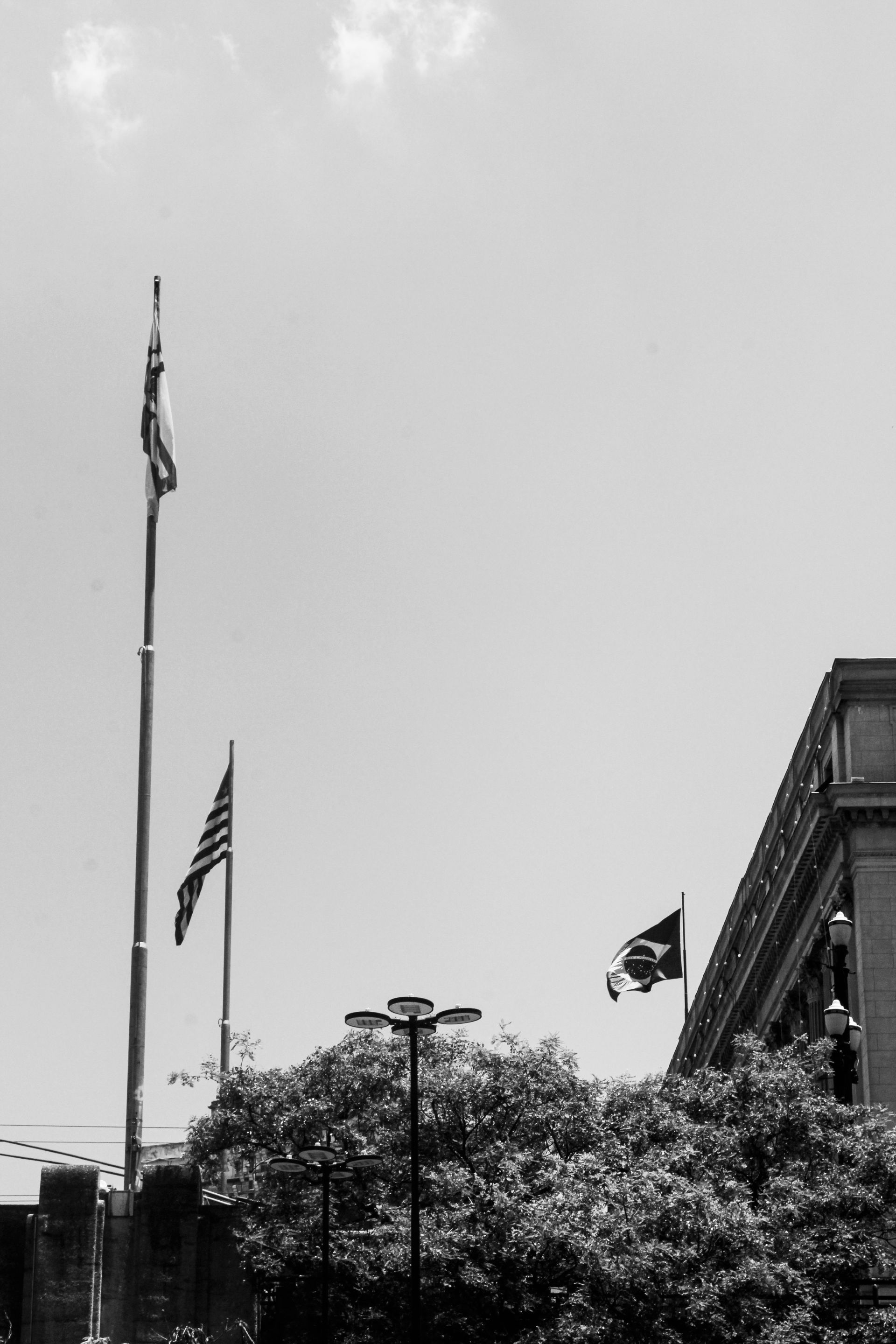 _MG_2995.JPG