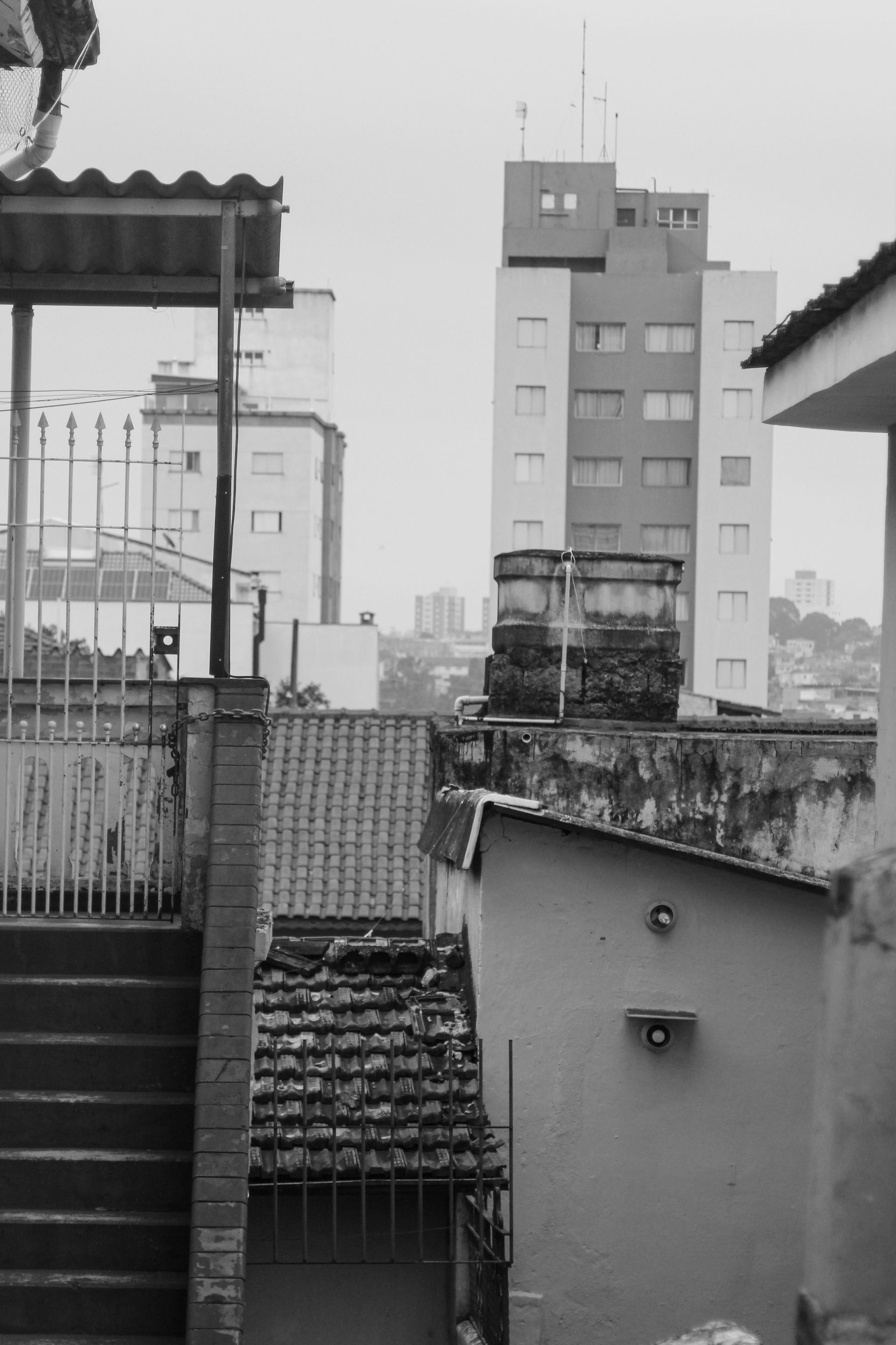 _MG_3051.JPG