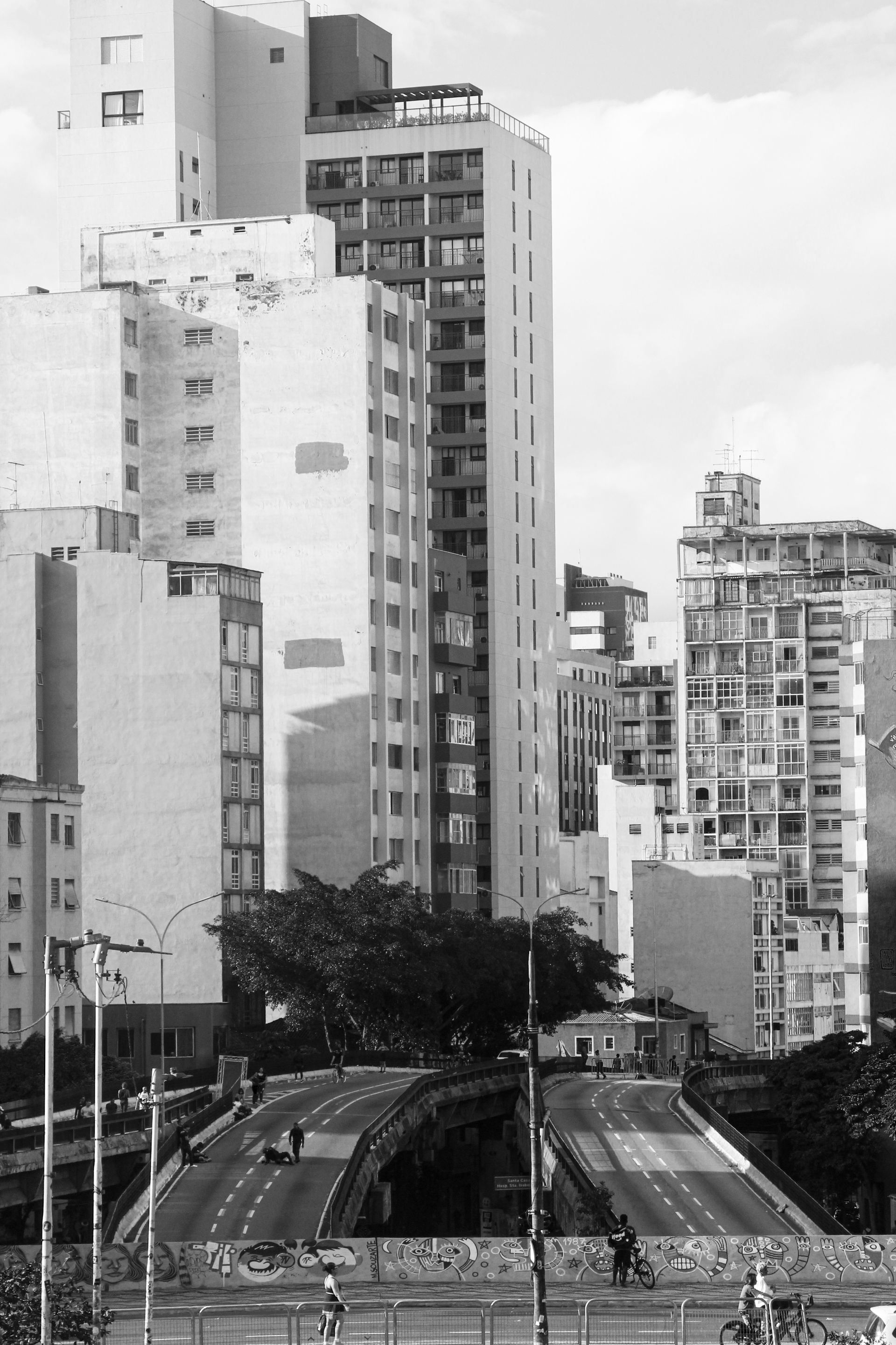 _MG_3175.JPG