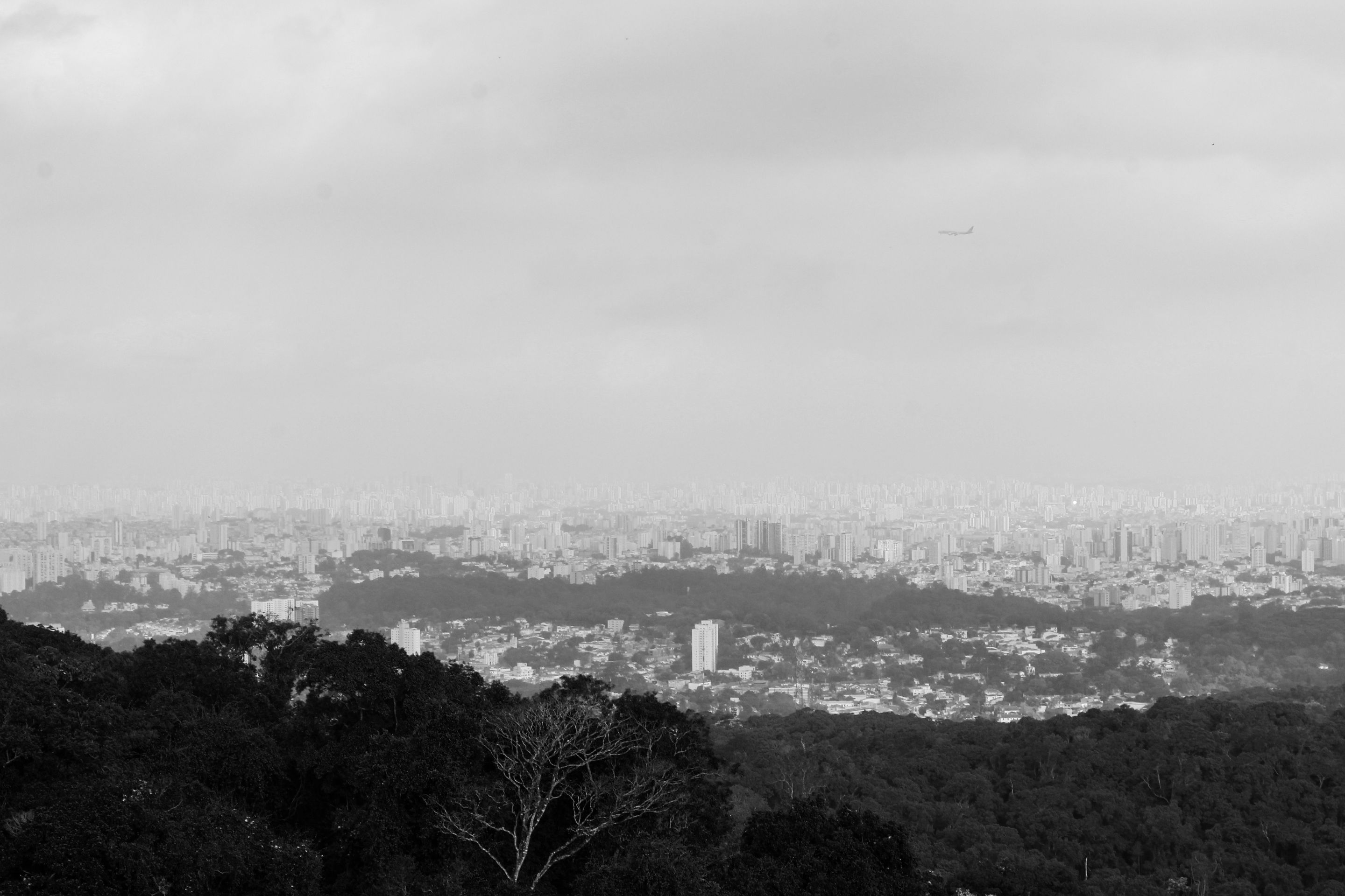 _MG_4011pb.jpg