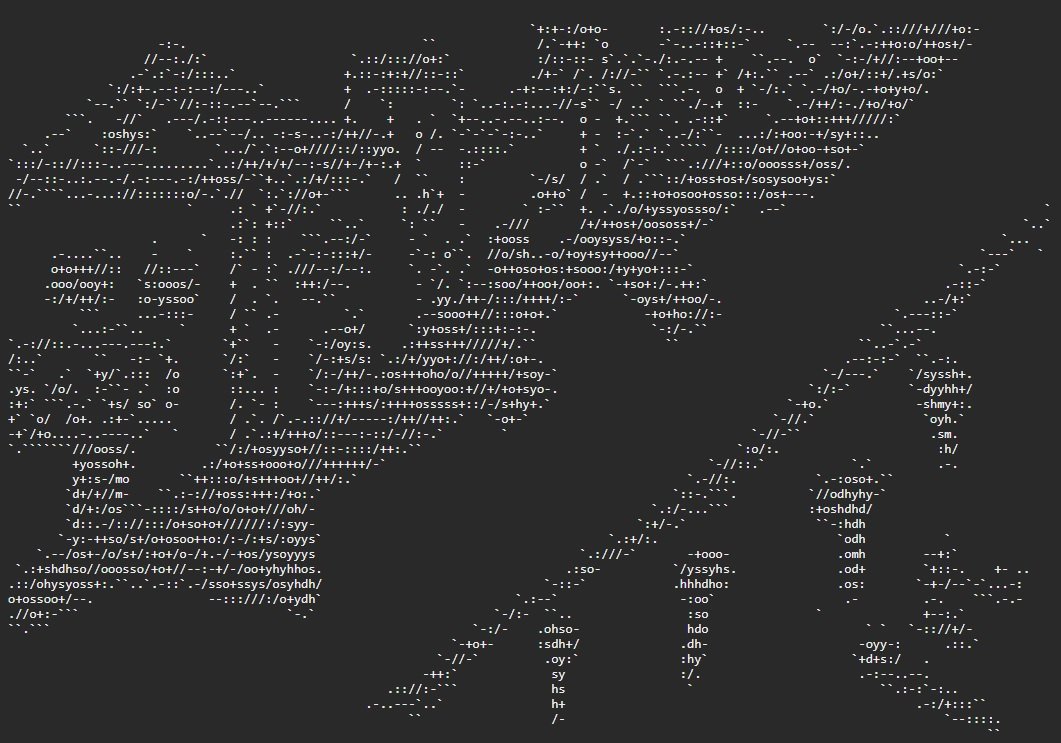 holovision_acsii.jpg