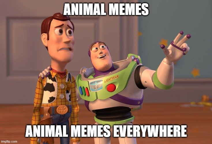 takowi_2.jpg