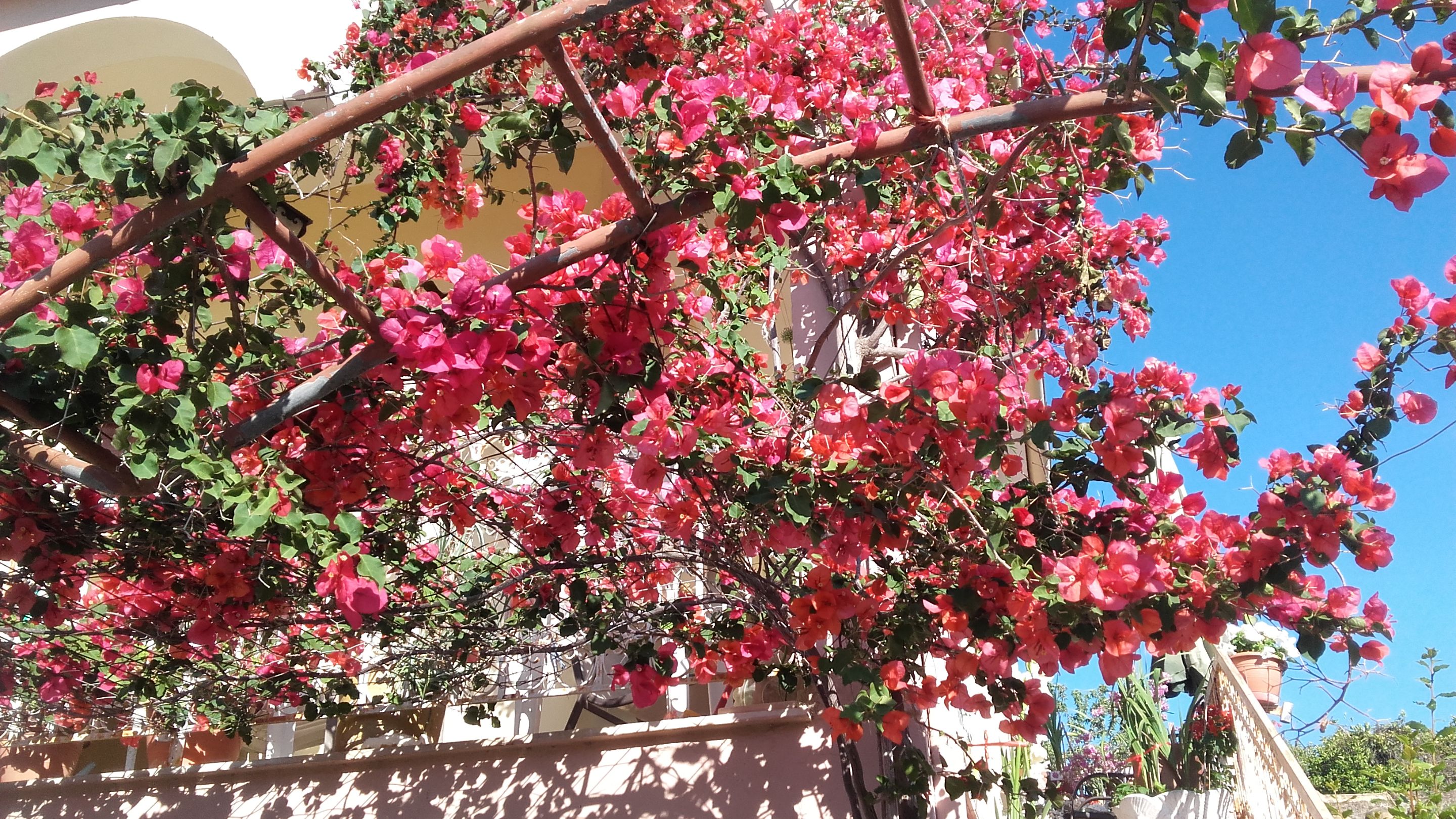 20210618_183818.jpg