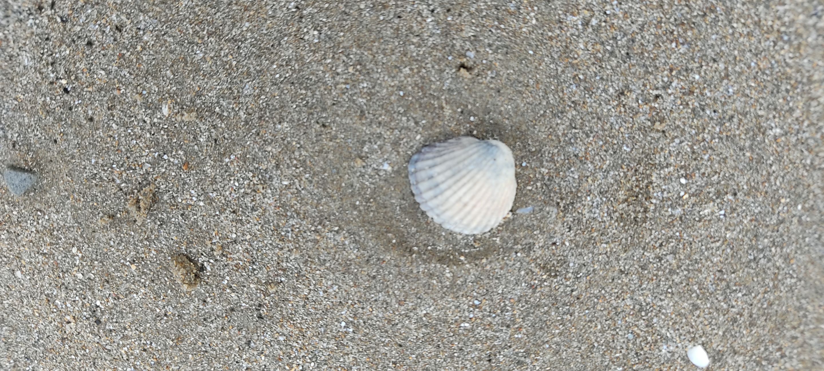IMG_20231225_161231.jpg
