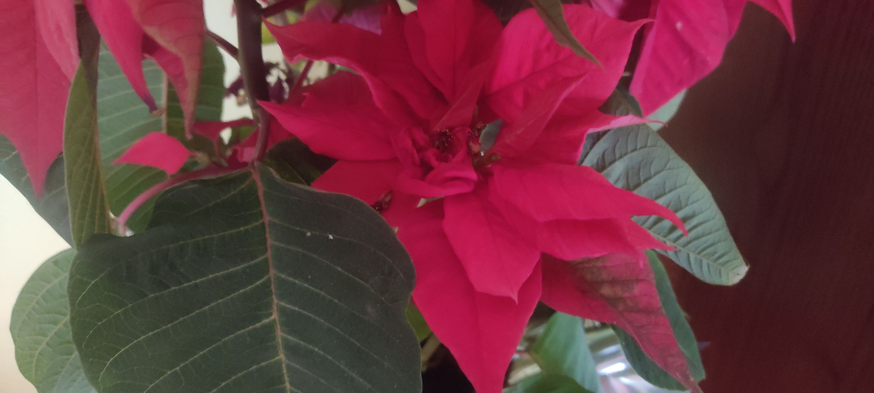 IMG_20220318_105751.jpg