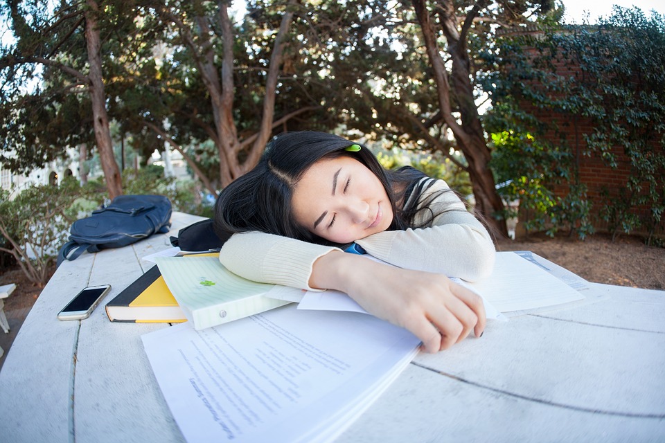 student-4127340_960_720.jpg