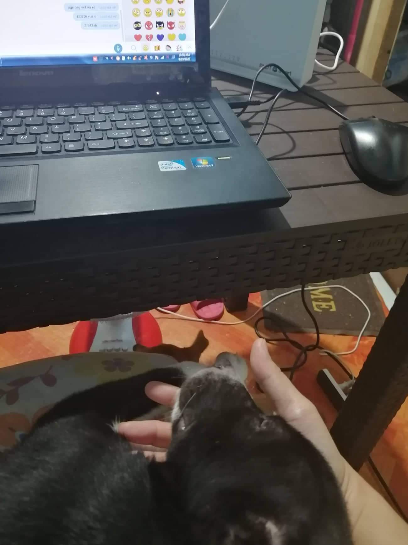received_1091096038442599.jpeg